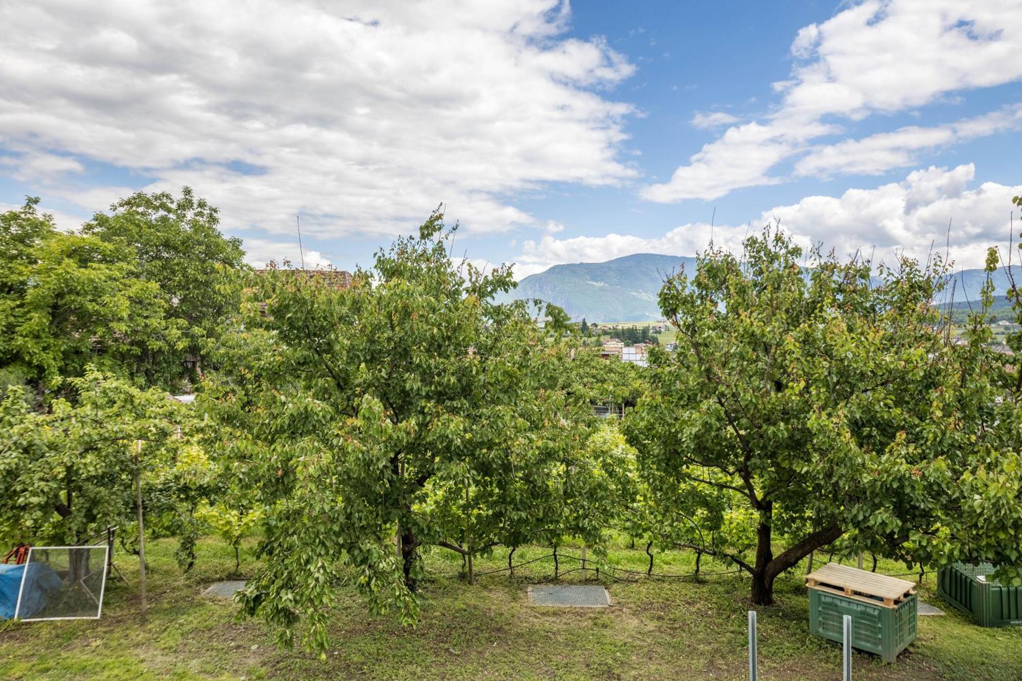 Angerblick Apartment Appiano Sulla Strada Del Vino Dış mekan fotoğraf