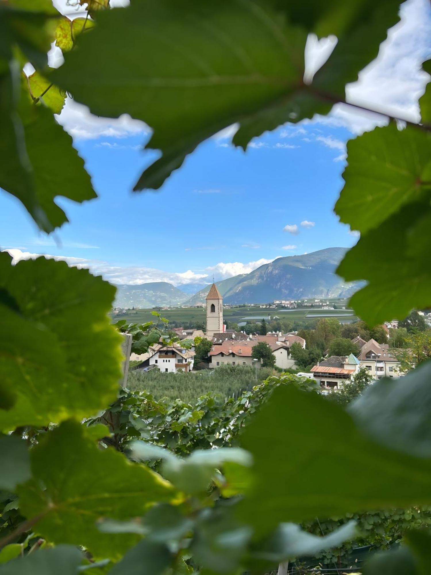 Angerblick Apartment Appiano Sulla Strada Del Vino Dış mekan fotoğraf